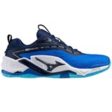 Mizuno WAVE STEALTH NEO 2 Кроссовки гандбольные Синий/Темно-синий - фото 298335