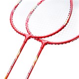 Double Fish JINQUE 1308 Набор для бадминтона (2 ракетки) - фото 298482
