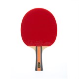 Double Fish J9 Ракетка для настольного тенниса с чехлом - фото 298503