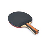 Double Fish J9 Ракетка для настольного тенниса с чехлом - фото 298506