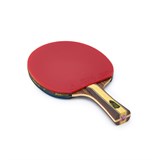 Double Fish J7 Ракетка для настольного тенниса с чехлом - фото 298513