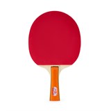 Double Fish 036A Набор для настольного тенниса (2 ракетки + 3 мяча) - фото 298539