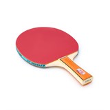 Double Fish 036A Набор для настольного тенниса (2 ракетки + 3 мяча) - фото 298542