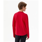 Jögel DIVISION PERFORMDRY PRO TRAINING TOP Джемпер тренировочный Красный - фото 299889