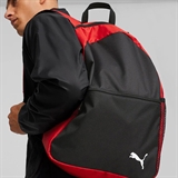 Puma TEAMGOAL Рюкзак Красный/Черный - фото 301150