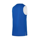 Jögel DIVISION PERFORMDRY DOUBLE-SIDE RBF JERSEY Майка двусторонняя баскетбольная Синий/Белый - фото 303051