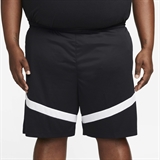 Nike ICON DRI-FIT 20 CM BASKETBALL SHORTS Шорты баскетбольные Черный/Белый - фото 304164
