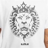 Nike LEBRON MAX90 Футболка баскетбольная Белый/Серый - фото 304253