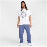 Nike LEBRON MAX90 Футболка баскетбольная Белый/Серый - фото 304254