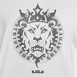 Nike LEBRON MAX90 Футболка баскетбольная Белый/Серый - фото 304258