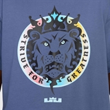 Nike LEBRON MAX90 Футболка баскетбольная Голубой/Разноцветный - фото 304273