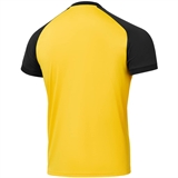 Jögel CAMP REGLAN JERSEY Футболка игровая Желтый/Черный - фото 306212