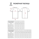 Jögel DIVISION PERFORMDRY ELEMENT JERSEY Футболка игровая Белый - фото 306480 Jögel DIVISION PERFORMDRY ELEMENT JERSEY Футболка игровая Белый - фото 306480