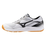 Mizuno CYCLONE SPEED 5 Кроссовки волейбольные Белый/Черный - фото 308337
