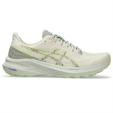 Asics GT-1000 13 TR NATURE BATHING Кроссовки беговые Серый/Салатовый - фото 308547