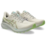 Asics GT-1000 13 TR NATURE BATHING Кроссовки беговые Серый/Салатовый - фото 308548