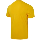 Jögel DIVISION PERFORMDRY SPLASH GK JERSEY Футболка вратарская Желтый - фото 309819