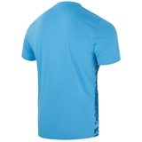 Jögel DIVISION PERFORMDRY SPLASH GK JERSEY Футболка вратарская Голубой - фото 309867