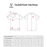 Jögel DIVISION PERFORMDRY POLO Поло Синий - фото 309922