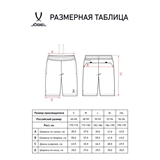 Jögel DIVISION PERFORMDRY REFEREE SHORTS Шорты судейские Черный - фото 311607