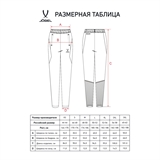Jögel PREMIER PERFORMDRY TRAINING PANTS Брюки тренировочные с карманами Черный - фото 311938