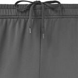 Jögel PREMIER PERFORMDRY TRAINING PANTS Брюки тренировочные Темно-серый - фото 312027 Jögel PREMIER PERFORMDRY TRAINING PANTS Брюки тренировочные Темно-серый - фото 312027