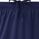 Jögel PREMIER PERFORMDRY TRAINING SHORTS Шорты тренировочные Темно-синий - фото 312108