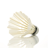 Double Fish JINQUE 09 Воланы для бадминтона (12 шт) - фото 312678