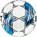 Select TEAM DB V25 (0865560022-5) Мяч футбольный - фото 312734