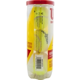 Wilson CHAMPIONSHIP Мячи для большого тенниса - фото 312795