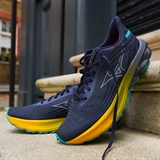 Mizuno WAVE SKYRISE 6 Кроссовки беговые Темно-синий - фото 313663