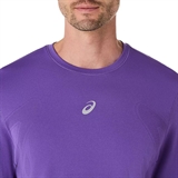 Asics ROAD SEAMLESS LS TOP Лонгслив беговой Фиолетовый - фото 315324 Asics ROAD SEAMLESS LS TOP Лонгслив беговой Фиолетовый - фото 315324