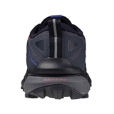 Mizuno WAVE DAICHI 9 GTX (W) Кроссовки беговые женские Темно-серый/Розовый - фото 316453