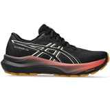 Asics GT-2000 14 GTX (W) Кроссовки беговые женские Черный/Розовый - фото 316678