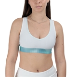 Mizuno FRONTIER SPORTS BRA (W) Топ теннисный женский Белый/Голубой - фото 317299