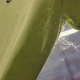 Joma CHALLENGE Футболка теннисная Лайм - фото 317374