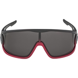 Alpina LEGEND BLACK-RED MATT/BLACK Очки солнцезащитные Черный/Красный - фото 317396