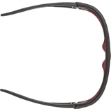 Alpina LEGEND BLACK-RED MATT/BLACK Очки солнцезащитные Черный/Красный - фото 317397