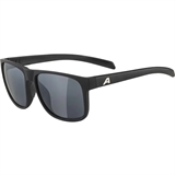 Alpina NACAN III BLACK MATT/BLACK MIRROR Очки солнцезащитные Черный матовый/Черный зеркальный - фото 317434