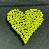 Tennis Life SPEED Мячи для большого тенниса (4 шт) - фото 317841