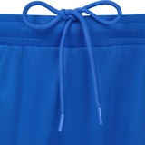 Jögel DIVISION PERFORMDRY SHORTS Шорты баскетбольные Синий - фото 319522