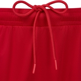 Jögel DIVISION PERFORMDRY SHORTS Шорты баскетбольные Красный - фото 319558