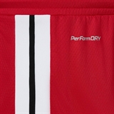 Jögel DIVISION PERFORMDRY SHORTS Шорты баскетбольные Красный - фото 319559