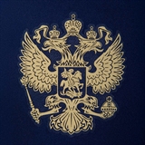 Jögel NATIONAL PERFORMDRY AWAY SHORTS Шорты игровые Темно-синий/Золотой - фото 319756