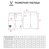 Jögel NATIONAL PERFORMDRY AWAY SHORTS Шорты игровые Темно-синий/Золотой - фото 319762