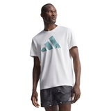 Adidas ADI365 RUNNING ESSENTIALS BRAND LOVE Шорты беговые Серый/Белый - фото 320096 Adidas ADI365 RUNNING ESSENTIALS BRAND LOVE Шорты беговые Серый/Белый - фото 320096