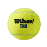 Wilson TOUR PREMIER ALL COURT Мячи для большого тенниса (4 шт) - фото 320642