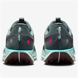 Nike PEGASUS TRAIL 5 Кроссовки беговые Серый/Голубой - фото 321194