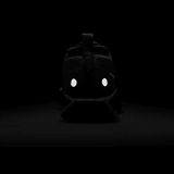 Nike PEGASUS TRAIL 5 GTX (W) Кроссовки беговые женские Черный - фото 321204