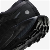 Nike PEGASUS TRAIL 5 GTX (W) Кроссовки беговые женские Черный - фото 321205